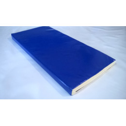 Мат гимнастический 1х2х0,1 м (кожзам/тент)