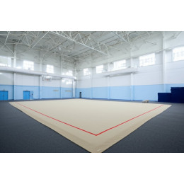 Гимнастический ковер 14х14 м (ворс, соревновательный)