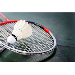 Сетка для бадминтона профессиональная (темная нить)