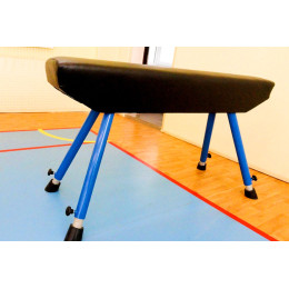 Конь гимнастический прыжковый (регулируемый)