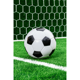 Сетка для мини-футбола 5,0 мм (шестигранная ячейка)